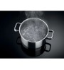 Plaque Mixte 2 gaz / 2 inductions N