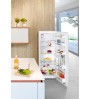 Réfrigérateur 1 Porte 250 Litres bl